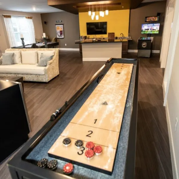 mini shuffleboard